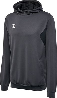 Hummel Sweatshirts &amp; hoodies Hmlauthentic Pl Hoodie
