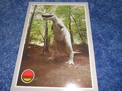 4979 Postkarte - Saurierpark Kleinwelka - Gorgosaurus