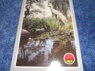 4981 Postkarte - Saurierpark Kleinwelka -Corythosaurus