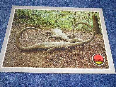 4982 Postkarte - Saurierpark Kleinwelka -Nothosaurus