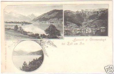 25351 Ak Aussicht von Thumersbach bei Zell am See 1900