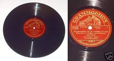 Schellack Platte Grammophon "Denkst Du nie daran" 1930