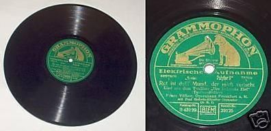 Schellack Platte Grammophon "Frühlingstraum" um 1930