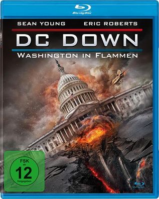 DC Down - Washington in Flammen (Blu-ray) - - (Blu-ray Video / Thriller)