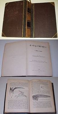 Erdgeschichte - 2. Band Beschreibende Geologie 1887
