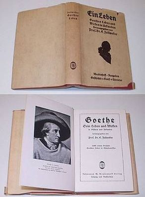 Goethe - Sein Leben und Wirken in Bildern und Urkunden