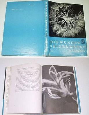 Hildegard Behrend "Die Wunder seiner Werke" 1961