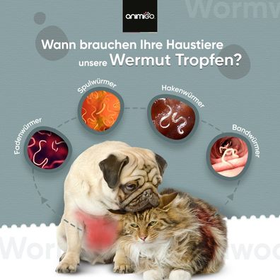 animigo Wurmkur Katzen & Hunde - 120ml Tropfen - 1+ Jahr Vorrat