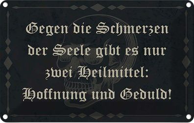 vianmo Blechschild 18x12cm Schmerzen Seele Zwei Heilmittel Deko Geschenk