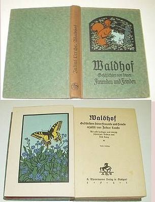Waldhof - Geschichten seiner Freunde und Feinde