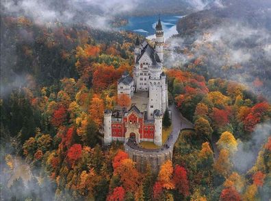 Nebel über Schloss Neuschwanstein