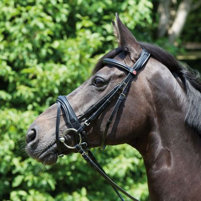 Kieffer Trensenzaum Perseus in zwei Farben