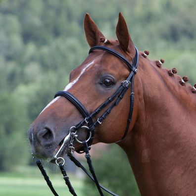 Kieffer Kandarenzaum schmal ANJA BERAN in schwarz oder braun