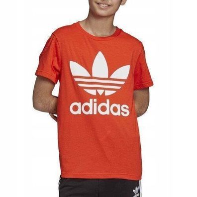 Adidas Originals T-Shirt Trefoil Dv2907