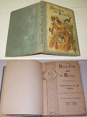 Dornen und Rosen - Geschichten für die Jugend um 1920