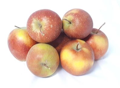 Äpfel Rubinette ähnlich wie Cox Orange vom Bodensee süß- säuerlicher Apfel 1-10 KG