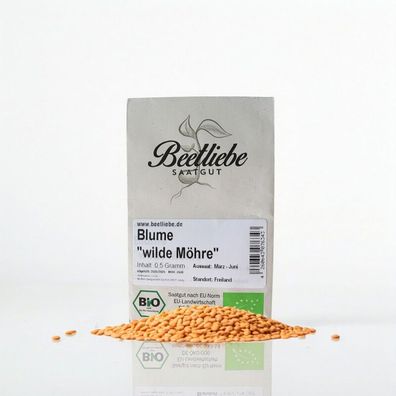 Blumensamen Wilde Möhre BIO & samenfest zweijährig mit weißen Dolden