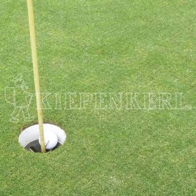 Kiepenkerl RSM 445 Rasenmischung Rasensamen Golfrasen Masters Fairway 10kg