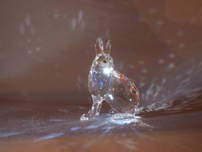 Swarovski Schneehase Polarhase Artic Hare SCS Event Piece 2011 1055005