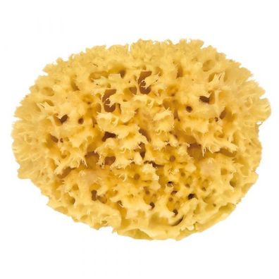 Croll & Denecke Naturschwamm 12cm M120
