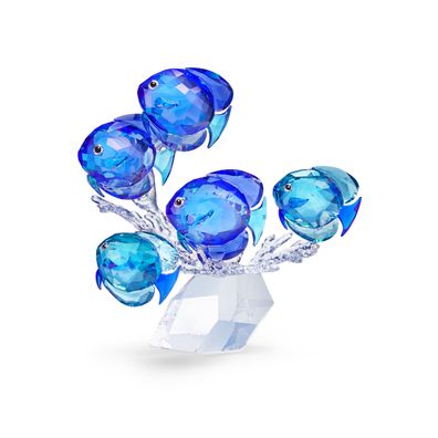 Swarovski Fischschwarm 5493705 Neuheit 2020