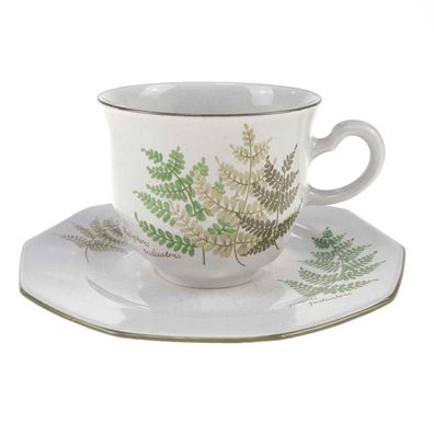 Kaffeetasse mit Untertasse 2tlg. Winterling Kirchenlamitz Farn Thelypteris palustris