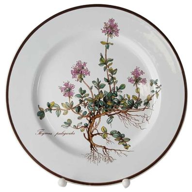 Kuchenteller L 21 B 21 D 21 Villeroy & Boch Botanica Thymus pulegioides gebraucht-gut