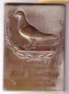 Bronze ? Medaille Sektion Sporttauben Schöneck 1964
