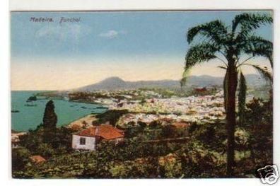 30770 Ak Madeira Funchal Totalansicht um 1930