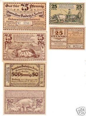6 Banknoten Notgeld Domäne Badetz bei Zerbst 1918