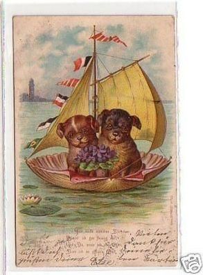 33780 Ak Muschel Segelboot mit 2 kleinen Hunden 1901