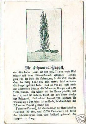 17252 Geschichts Ak Die Fehmarner Pappel 1916