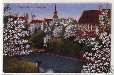 23244 Ak Kirschblüte im Altenlande Fährhaus Lühe um1920