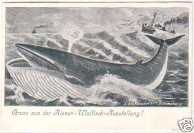 24159 Ak Gruß aus der Riesen Walfisch Ausstellung 1900