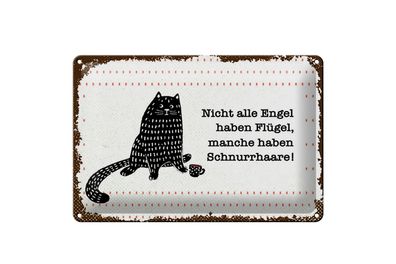 Blechschild Spruch 20x30 cm Nicht jeder Engel Schild