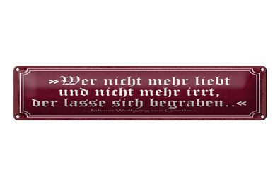 Blechschild Zitat 46x10 cm Wer nicht mehr liebt und nicht mehr irrt Schild