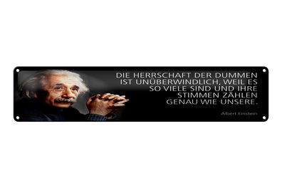 Blechschild Einstein Zitat 46x10 cm Die Herrschaft der Dummen ist unüberwindlich