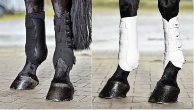 Busse Gamaschen Dressage PRO Dressurgamaschen schwarz oder weiß