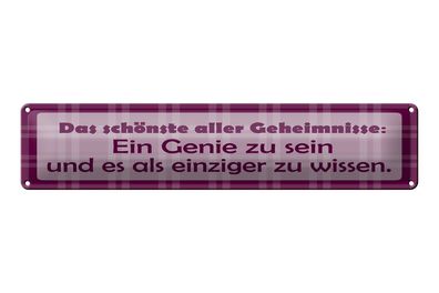 Blechschild Spruch 46x10 cm Das schönste aller Geheimnisse Schild