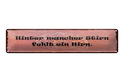 Blechschild Spruch 46x10 cm Hinter mancher Stirn fehlt ein Hirn Deko Schild