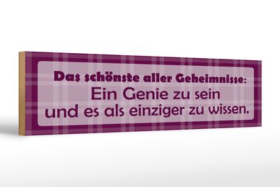 Holzschild Spruch 46x10 cm Das schönste aller Geheimnisse Schild