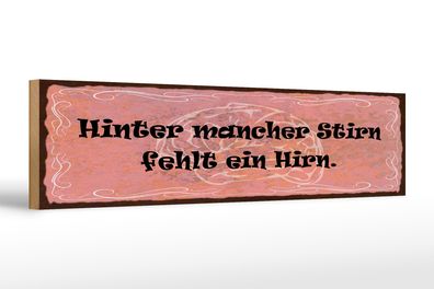 Holzschild Spruch 46x10 cm Hinter mancher Stirn fehlt ein Hirn Deko Schild