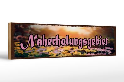 Holzschild Hinweis 46x10 cm Naherholungsgebiet Schild