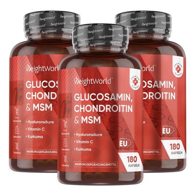 Glucosamin Chondroitin MSM Komplex , 1560mg pro Portion - 3er-Pack