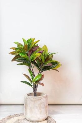 Kunstpflanze - Croton Codiaeum - Wunderstrauch - 95 cm