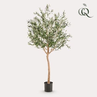 Kunstpflanze - Olea europaea - Olivenbaum - 180 cm