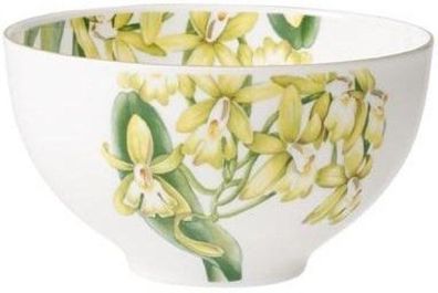 Villeroy & Boch Amazonia Bol