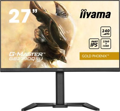 IIYAMA 68.6cm (27") GB2790QSU-B5 16:9 HDMI+DP+USB IPS retail