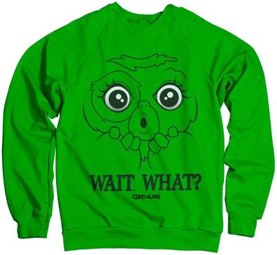 Gremlins Wait. What? Sweatshirt