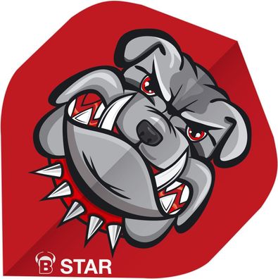BULL'S B-Star Flights / 12 Satz / A-Standard